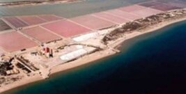 Estudio sobre la delimitación de la ZMT frente a las Salinas de Bonmati (Alicante)