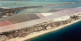 Informe pericial sobre la delimitación del DPMT en la Salina de Bonmatí (Alicante)