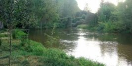 Estudio de delimitación del Dominio Público Hidráulico (Río Alberche, Toledo)