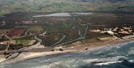 Estudio sobre la delimitación de la ZMT en la Albufereta (Alcudia)